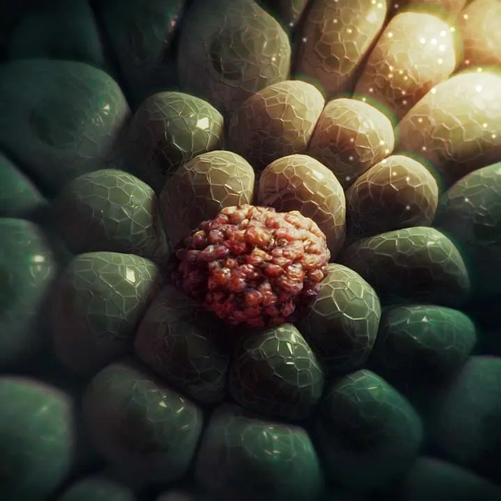 Epithelial cell transforming into a malignant cancer cell