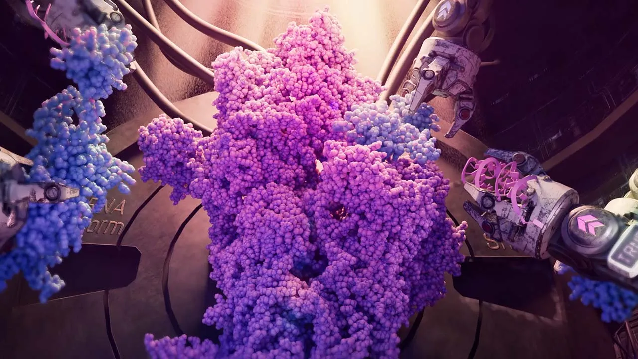 Assembly of the mitoribosome