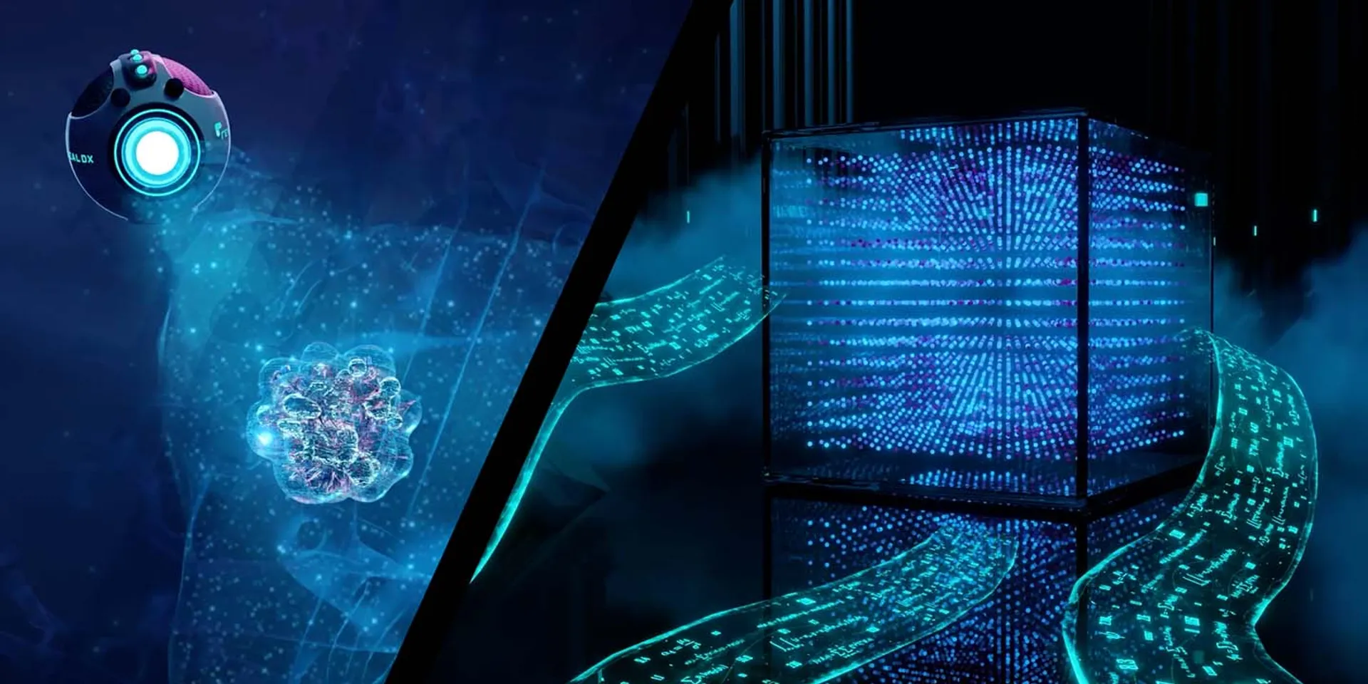 Reveal-Dx Technology