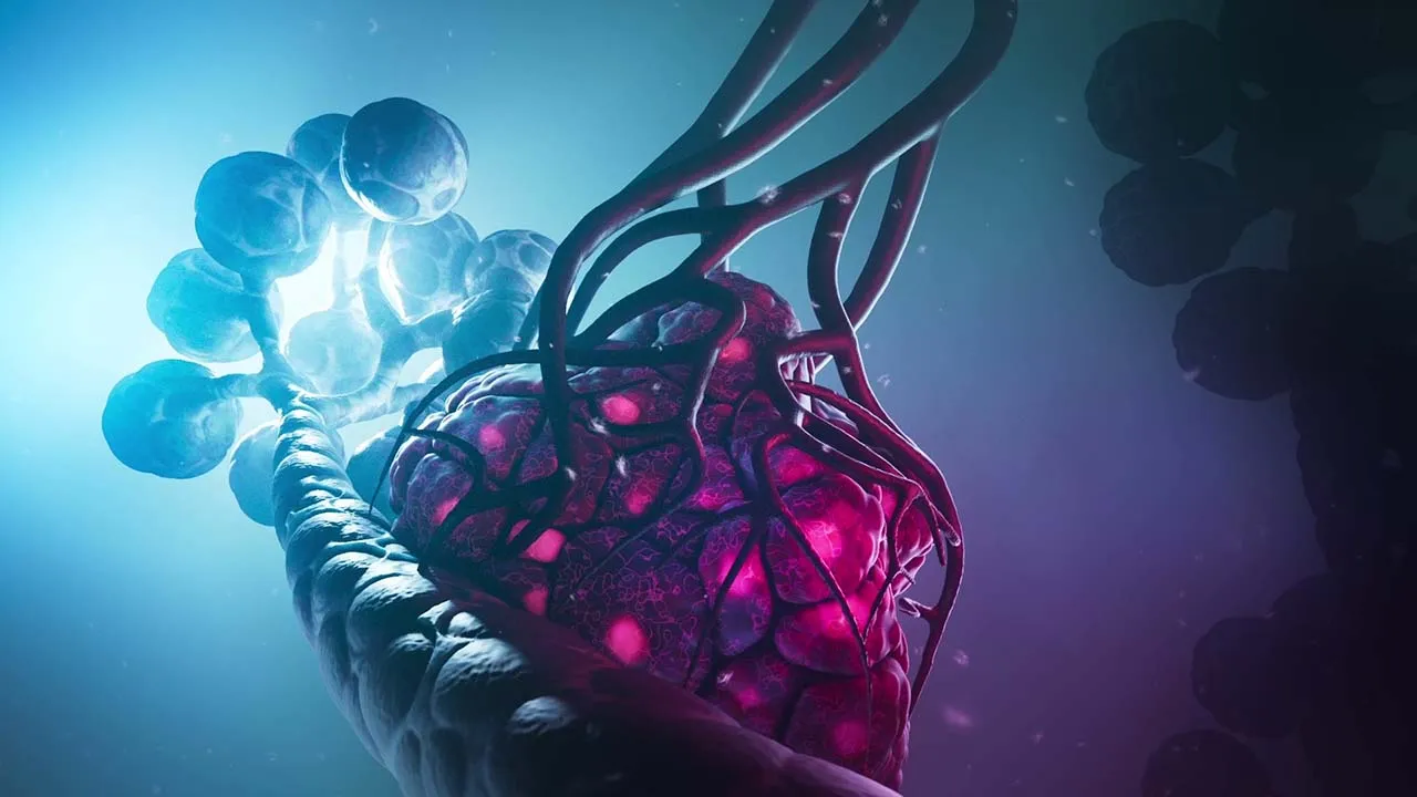 Tumor Vascularization